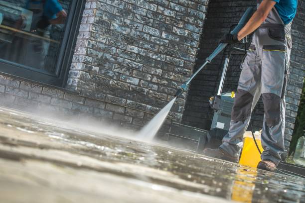 Boat and Dock Cleaning in Newbern, TN