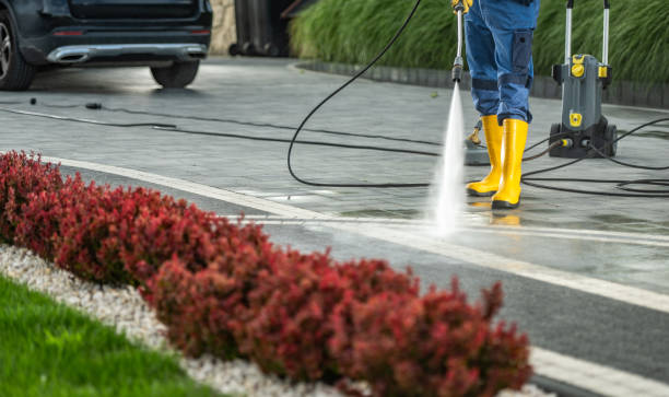 Reliable Newbern, TN Pressure Washing Solutions